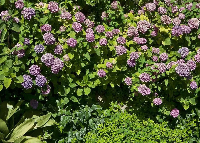 מלון Della Piccola Marina