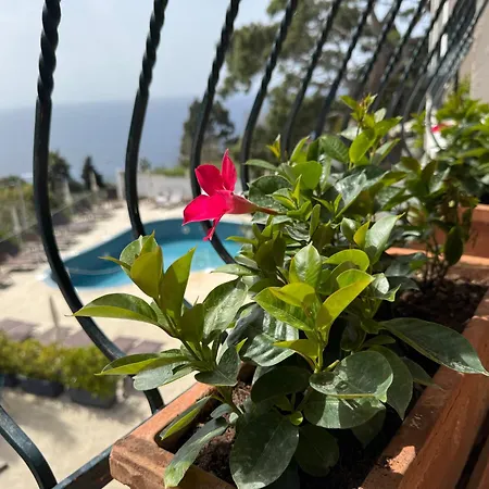 Della Piccola Marina Hotel Capri