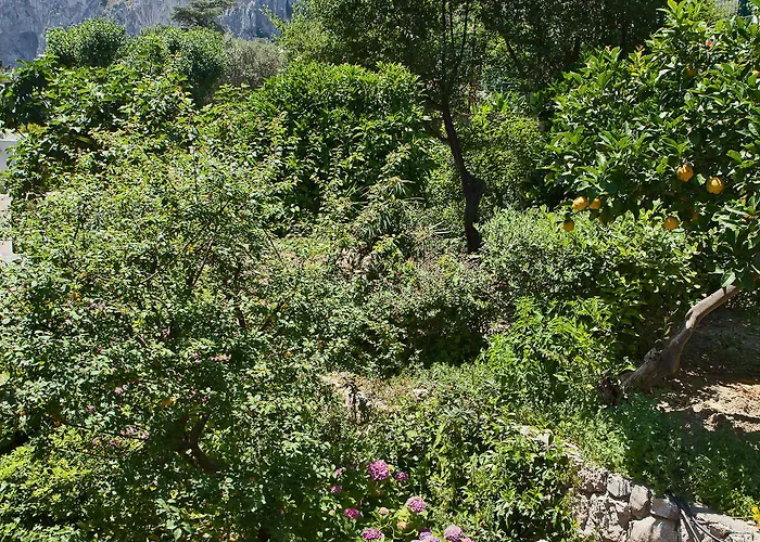 Della Piccola Marina Ξενοδοχείο