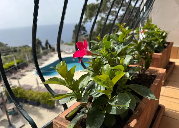 Della Piccola Marina Hotel Capri